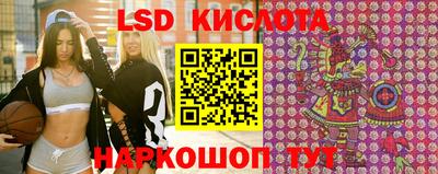 спиды Новозыбков