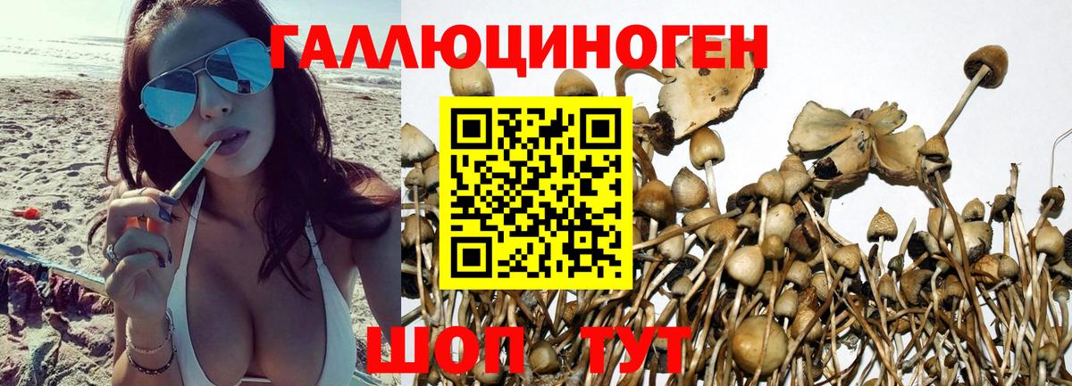 Галлюциногенные грибы мухоморы  купить наркотики сайты  Галлюциногенные грибы MAGIC MUSHROOMS  Бирск  Вход с VPN 